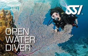 SSI_Open_Water_Diver